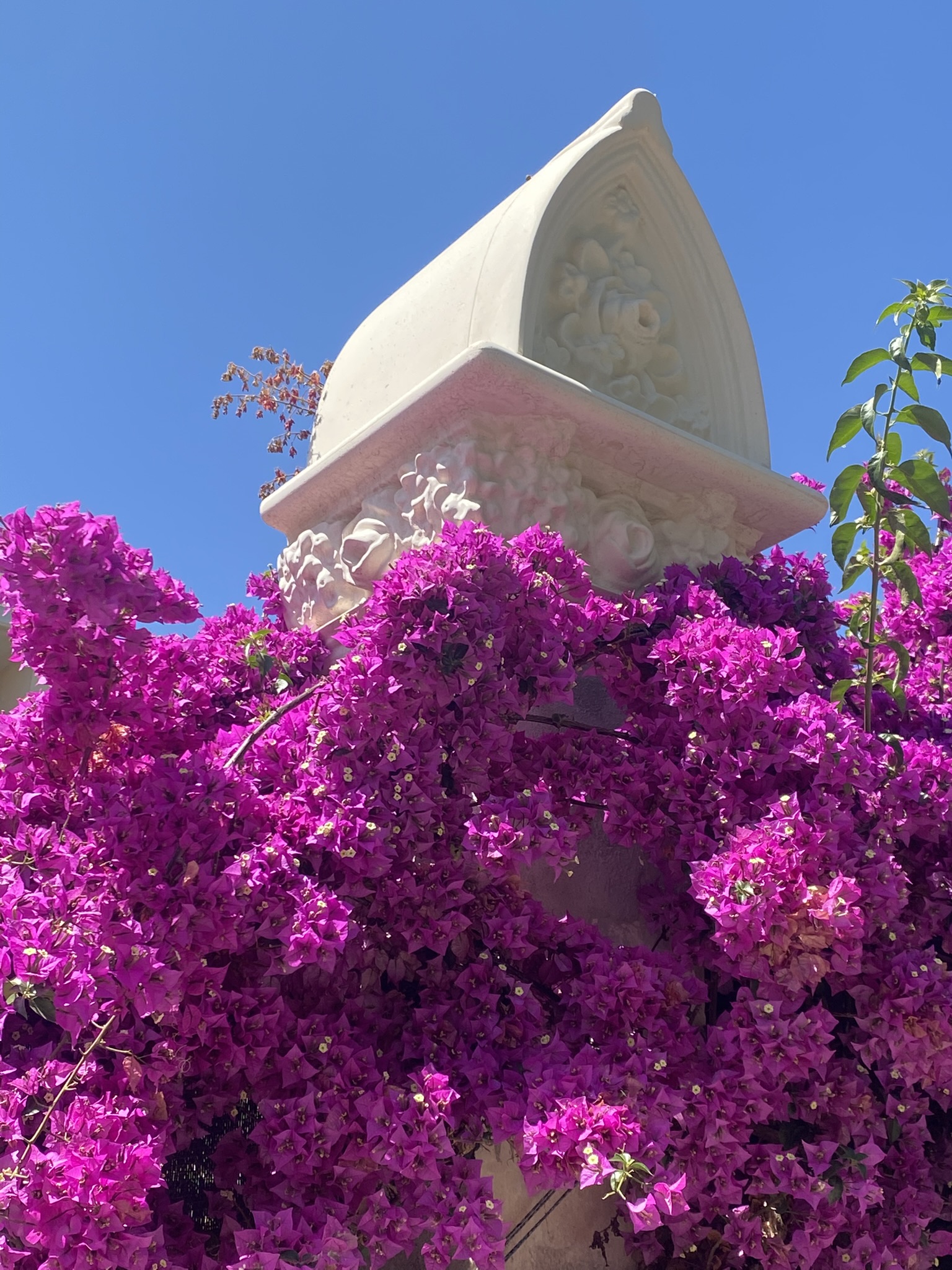 Rehabilitación ornamental